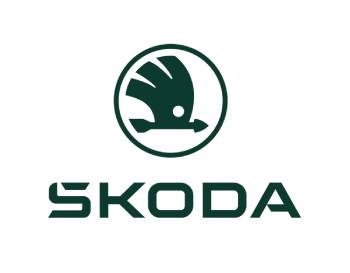 Partner Image